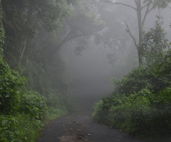 misty way