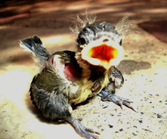 HELPPPPPPPP..... !!!!!