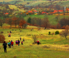 Doğadan..