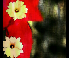 vibrant 