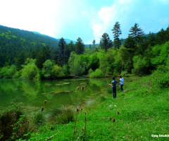 Fevziye