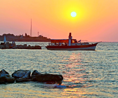 balıkekmekteknesi