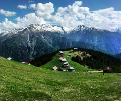 Pokut Yaylası-Çamlıhemşin/Rize