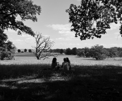 The Deer Park In Klampenborg 1914  :)