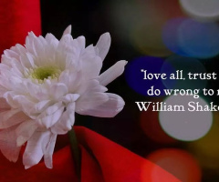 Bestow Your Love Upon The World