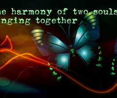 Harmony 