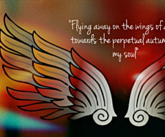 Wings of Dawn 