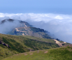 Yayla Yolları