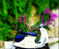 BEYAZ MOTOR