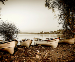 Gölyazı'dan 2