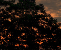 Sonnenaufgang