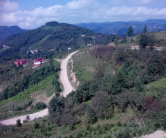 karadeniz manzarası
