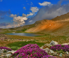 doğanın renkleri