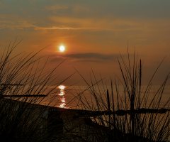 Evening Silence