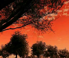 Color of sky
