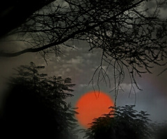 One Mystic Morning 