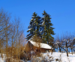 winter time....soon