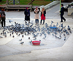 Göçmenler