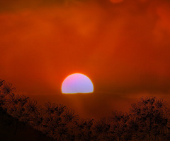 The Breeze At Dawn II