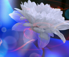 My World of Dream II