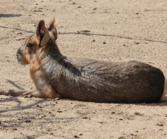Relaxing In The Sun