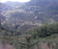 ordu karaouk köyüne yeşilköyden bakış