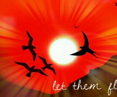Let them fly 