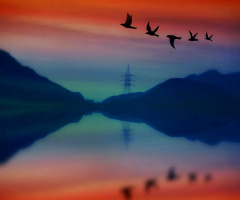 Flying away into the another world