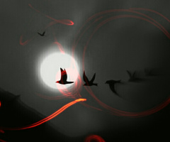Nocturnal 