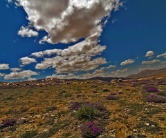 doğadan