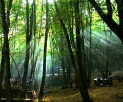 Süzülen Işıklar
