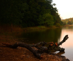 Doğa / Nature
