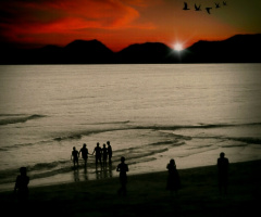 Twilight Bliss