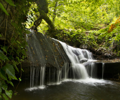 Şelale-Waterfall
