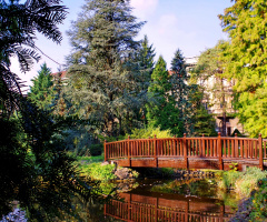 In botanical garden