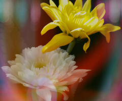 Togetherness II