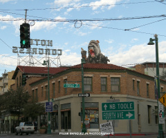 Tucson's Halloween Weekend Guest