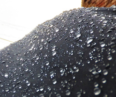 Its Raining ! 