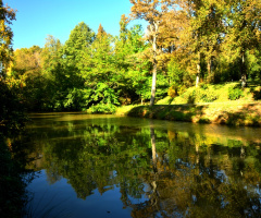 İstanbul Arboretum...