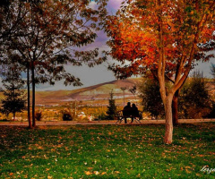 sonbaharda aşk