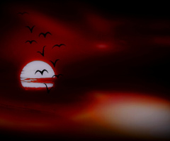 Dawn and the Darkness