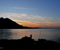 the angler