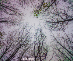 Bahçecik/Başiskele/Kocaeli/Türkiye