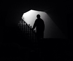 Light 