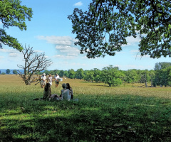 A Picnick