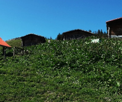 rize çamılıhemşin potuk yaylası