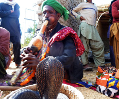 Snake charmer at village