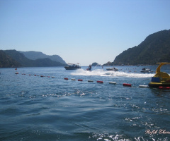Tatil