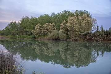 Kirmasti Çayı Yansımaları