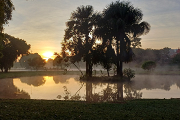 Amanhecer